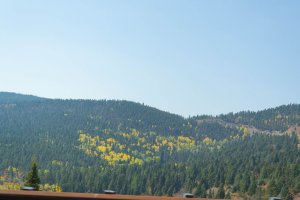 20201020FallColors2020042.jpg